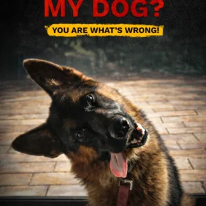 WHAT THE HELL IS WRONG WITH MY DOG?